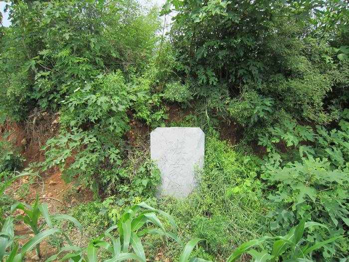 班家北坡古墓